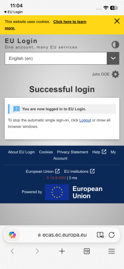 Successful Login