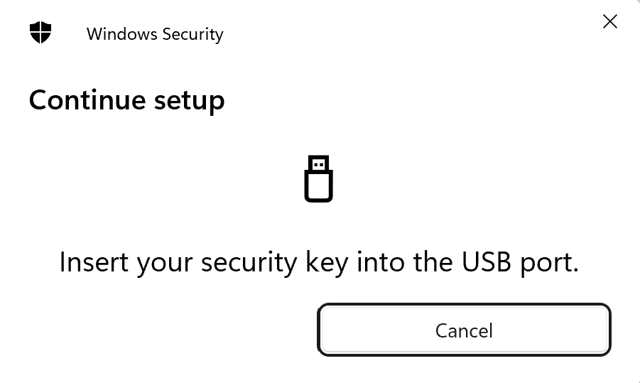 Windows - Insert your security key